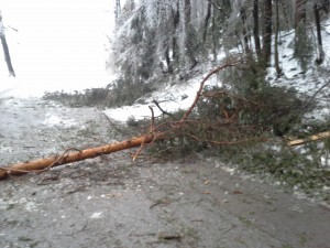 20140202_162113