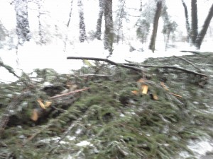 20140202_162116