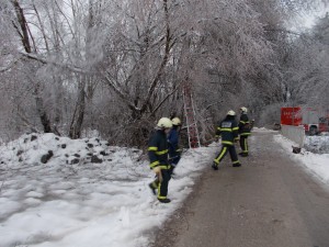 DSCN0139