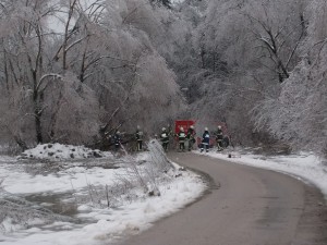 DSCN0142