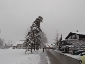 DSCN0149