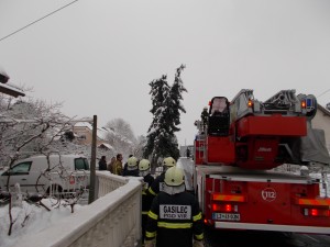 DSCN0155
