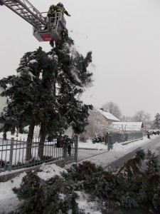 DSCN0159