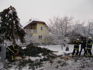 DSCN0163