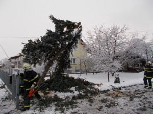 DSCN0164